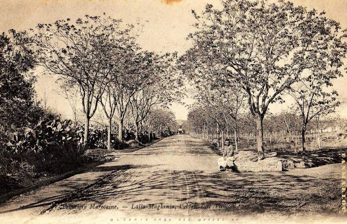 Marnia 014. Av. de Tlemcen.jpg